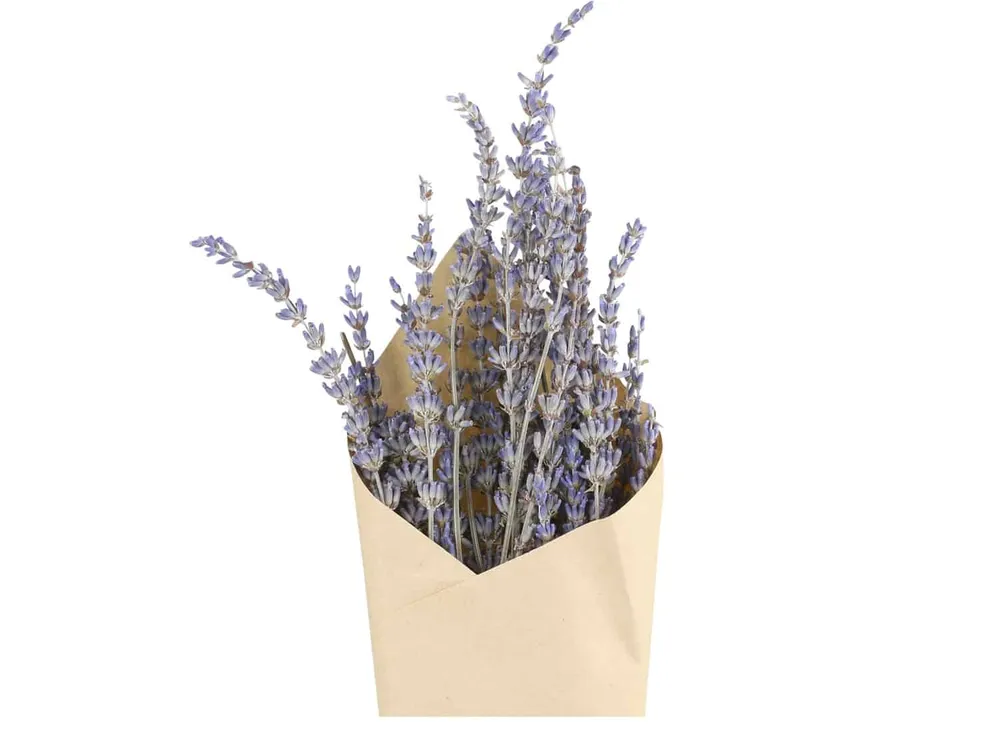 Evighetsbukett - Lavendel