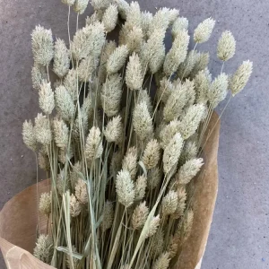 Evighetsbukett - Poa Natur