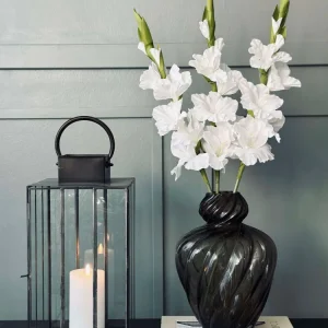 Gladiolus stilk