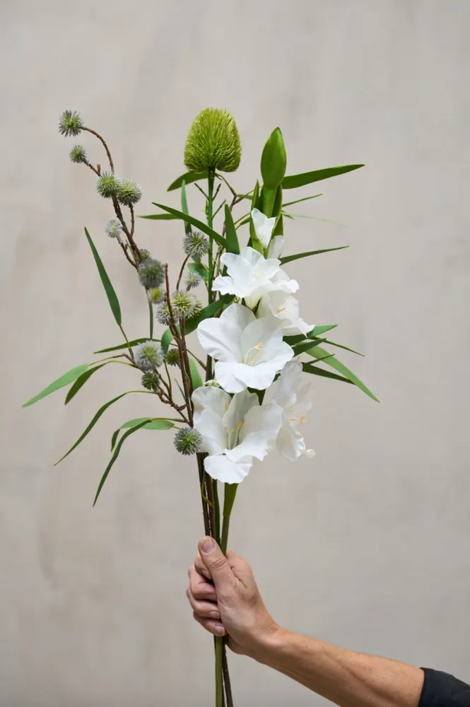 Gladiolus stilk