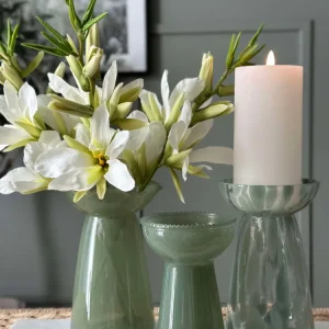 Gladiolus stilk