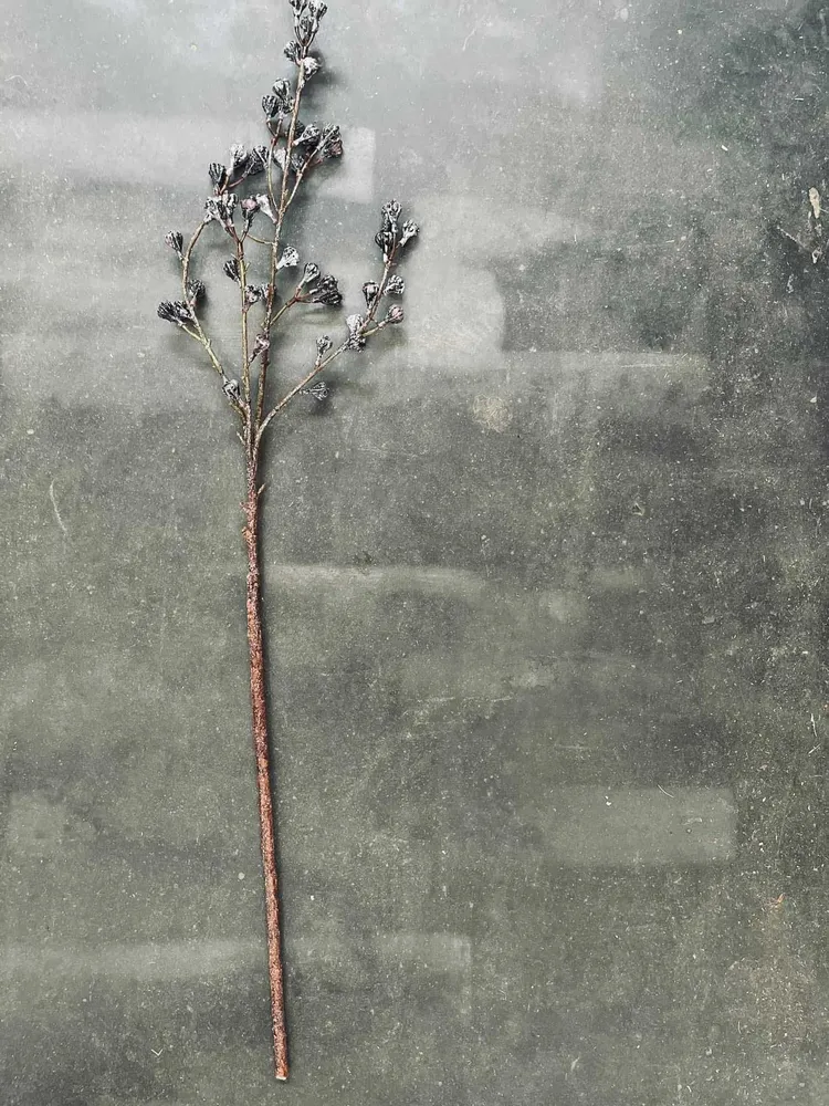 Gren m/bær 85cm
