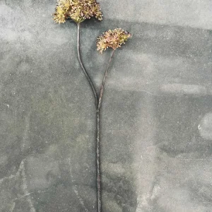 Gren med 2 blomster