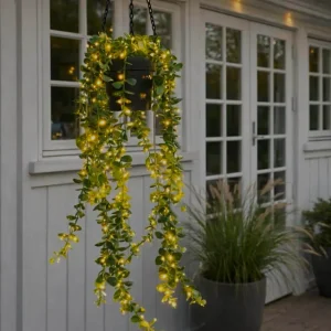 Hengeblomst med solar