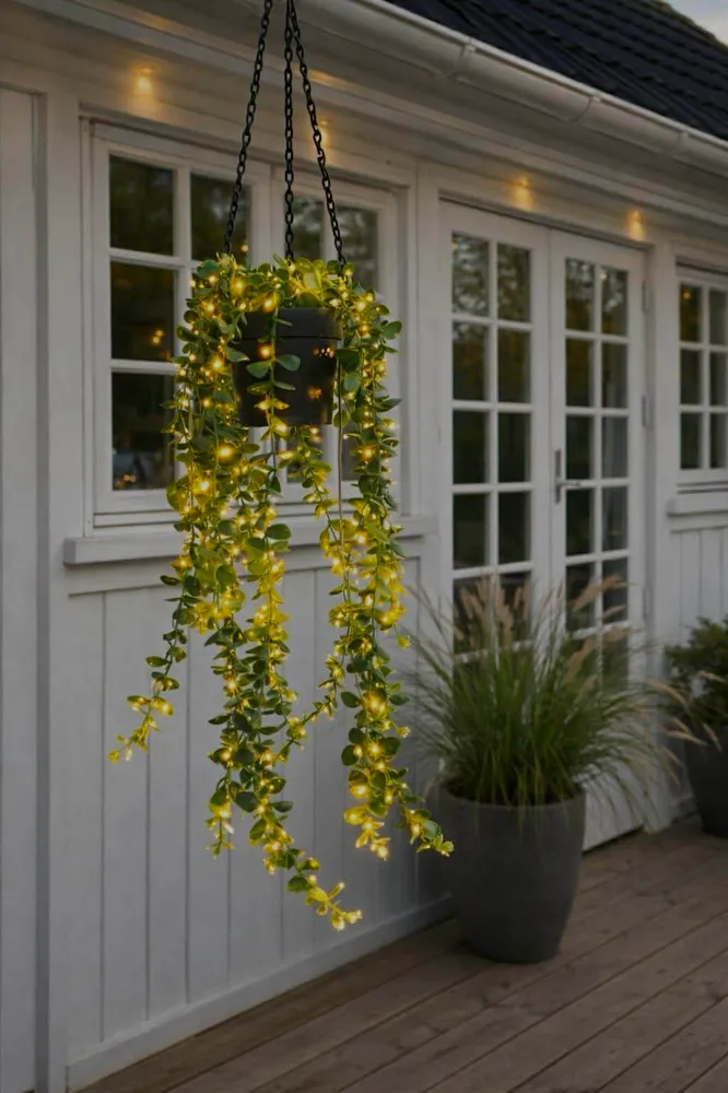 Hengeblomst med solar