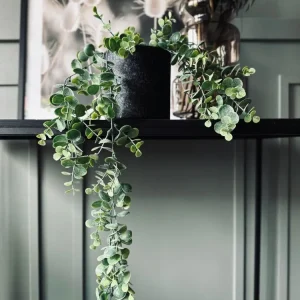 Hengende plante - Grønne nyanser