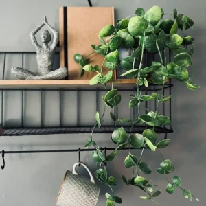 Hengeplante - Fresh green