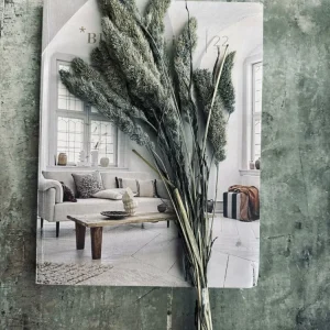 Hirse Grey