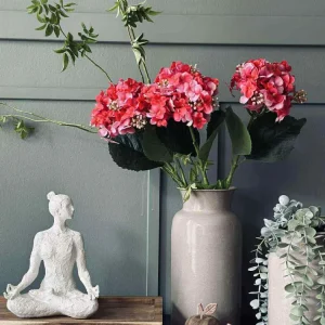 Hortensia Pink
