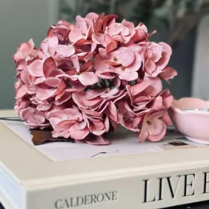 Hortensia stilk
