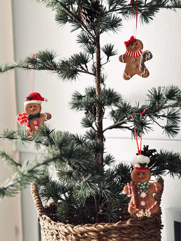 Juleanheng gingerbread - Mix