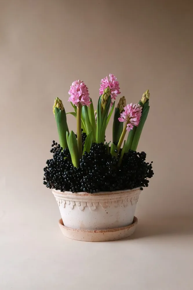 Københavner Krukke Rose LAV 21 cm