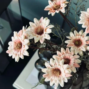Krysantemum stilk