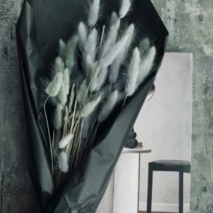 Lagurus – grey mist