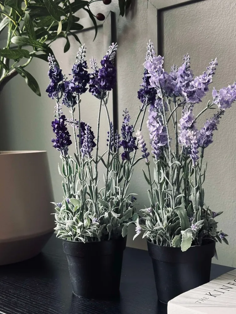 Lavendel 40cm - Lys lilla