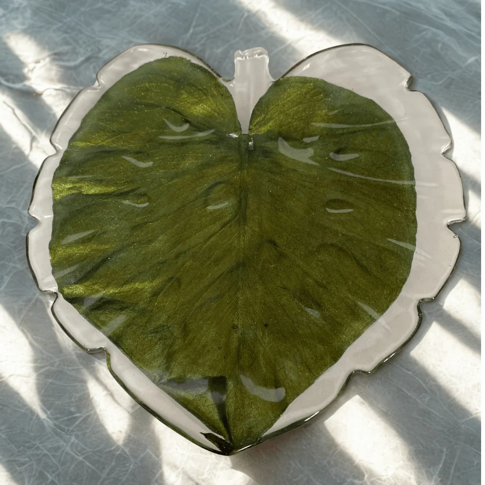 MONSTERA fat, ekte tørket blad