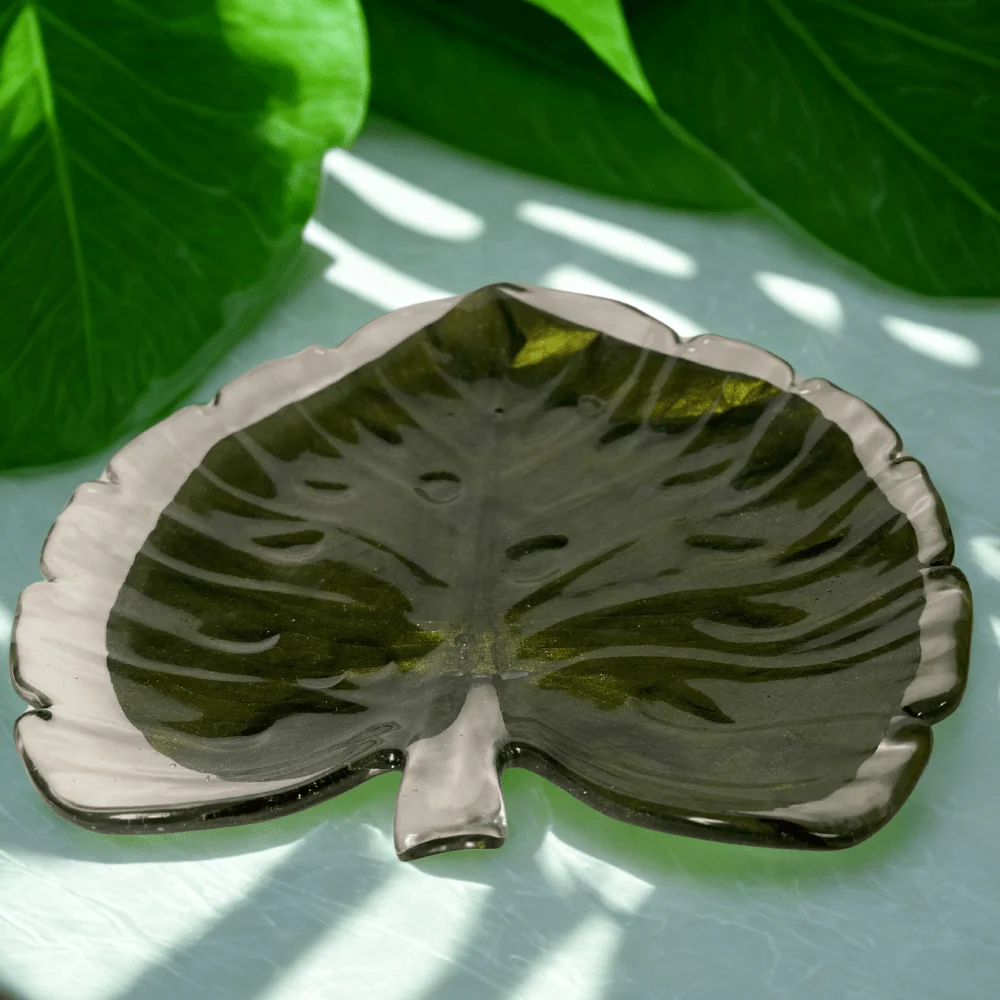 MONSTERA fat, ekte tørket blad