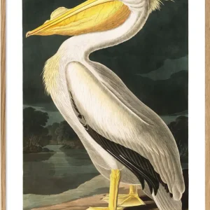 Pelikan 70x100