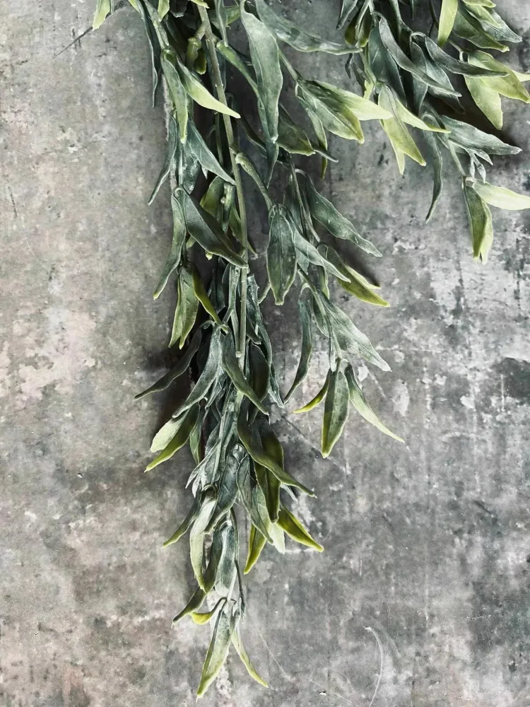 Pilegren - 55 cm