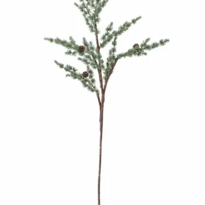 Pine Stem