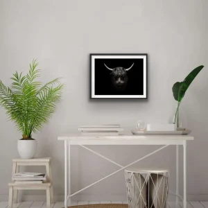 Plakat - Okse 50x50 cm
