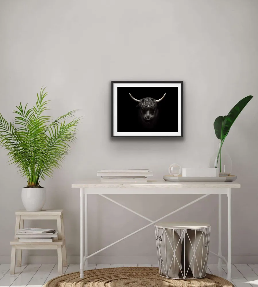 Plakat - Okse 50x50 cm