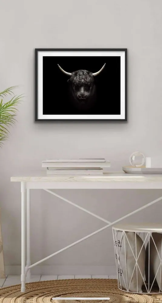 Plakat - Okse 50x50 cm