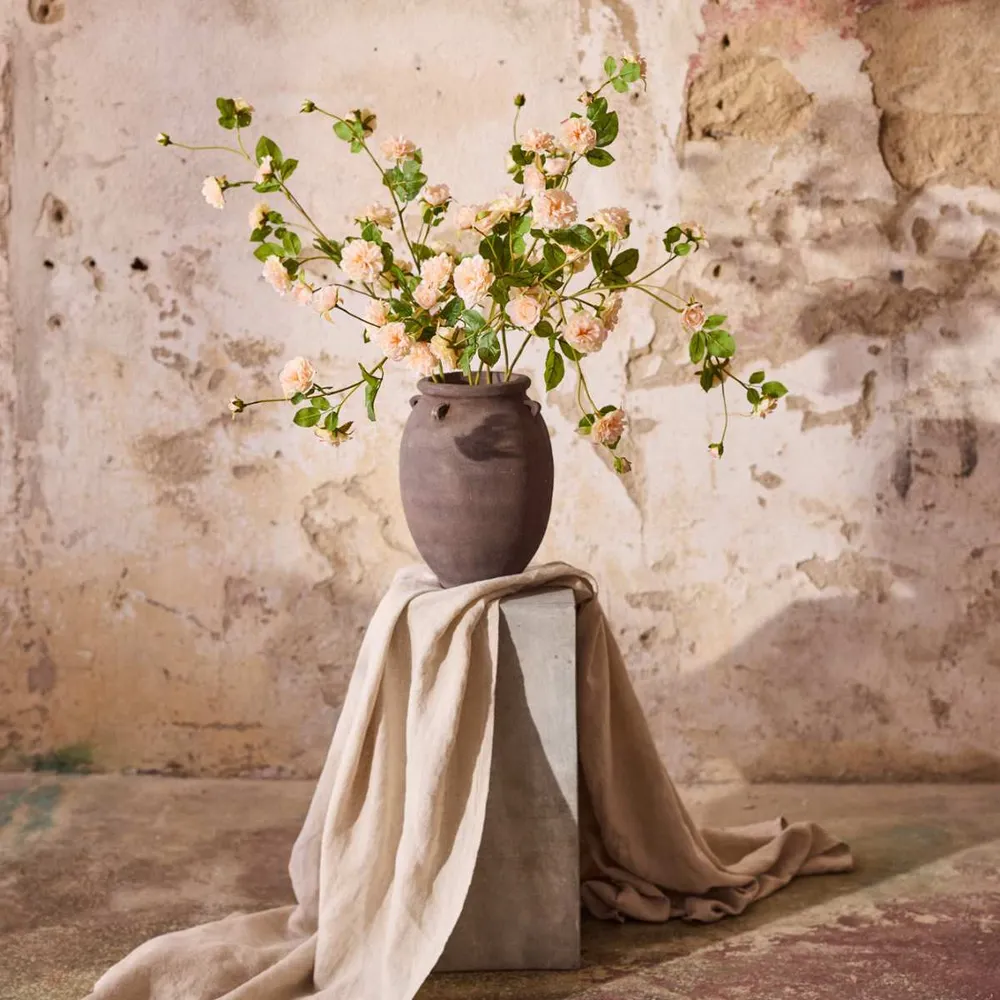 Mr. Plant Klatrerose 85cm