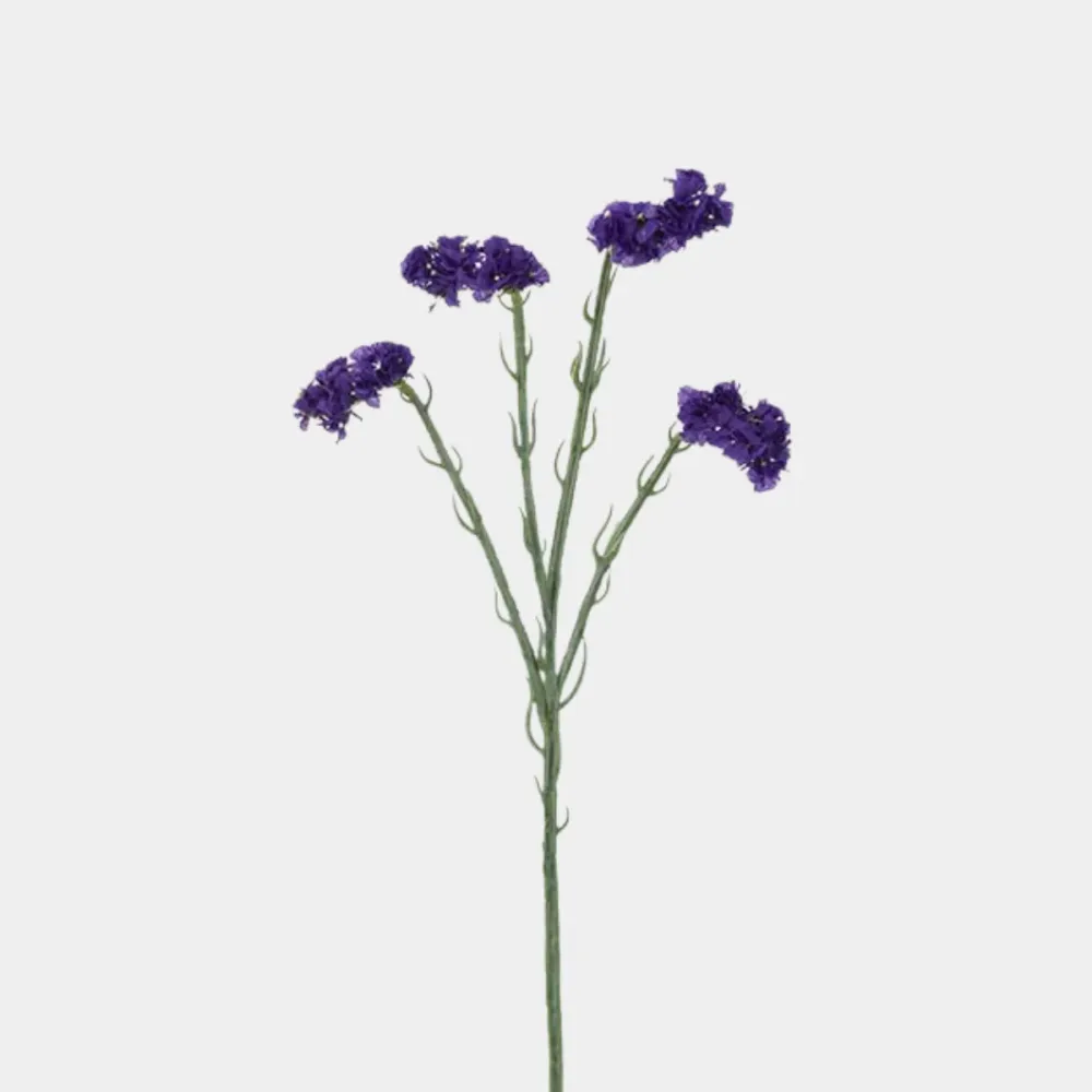 Mr. Plant Statice 60cm blå