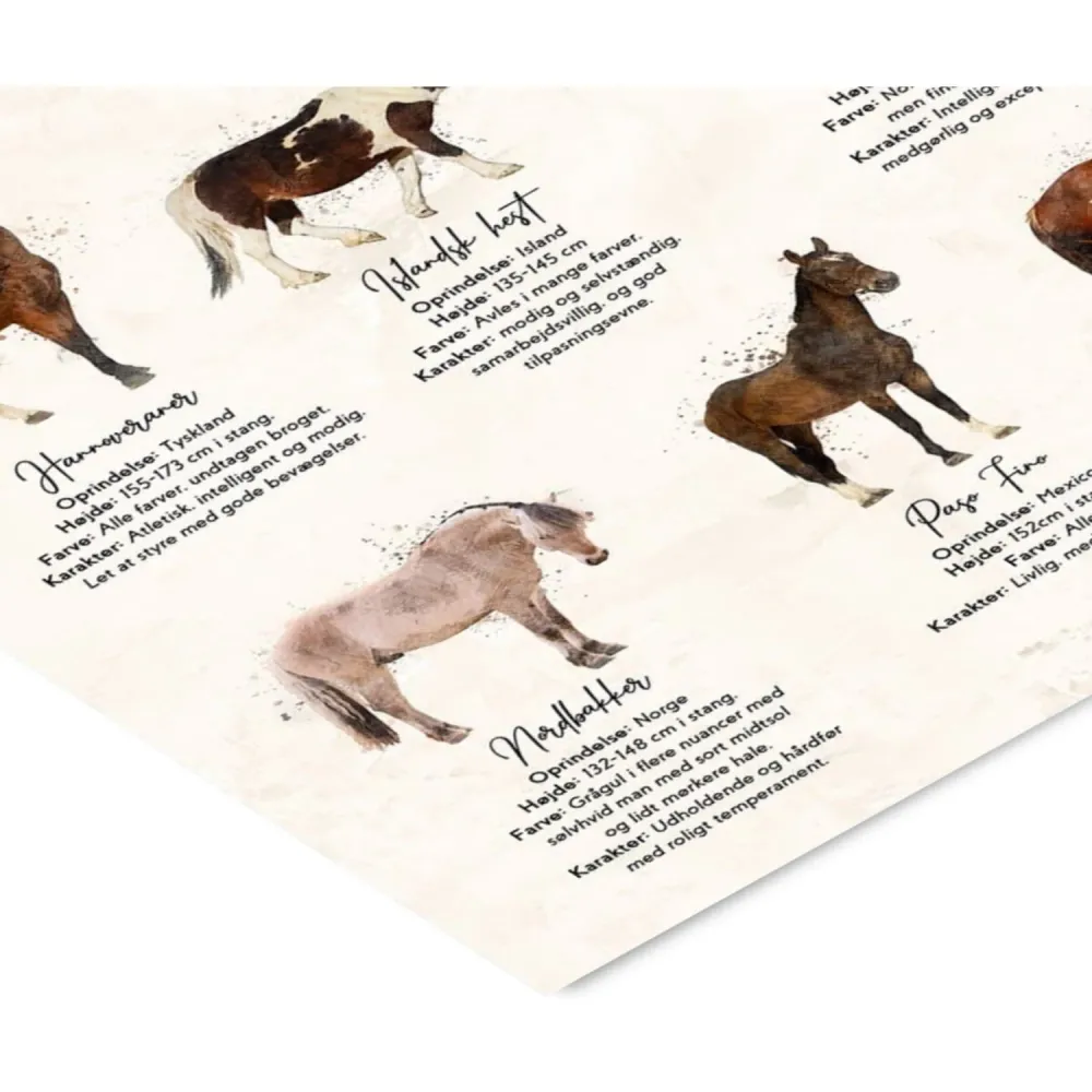 Poster & Frame Simon Holst - En Plakat Med Heste - Sten