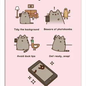 Pusheen Innrammet Bilde 30 x 40 cm Guide To Selfies