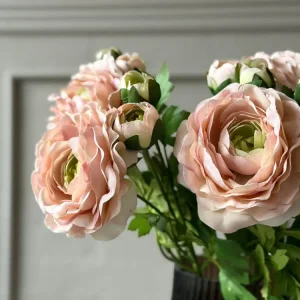 Ranunkel 50cm - Rosa