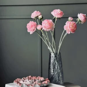Ranunkelstilk - Rosa