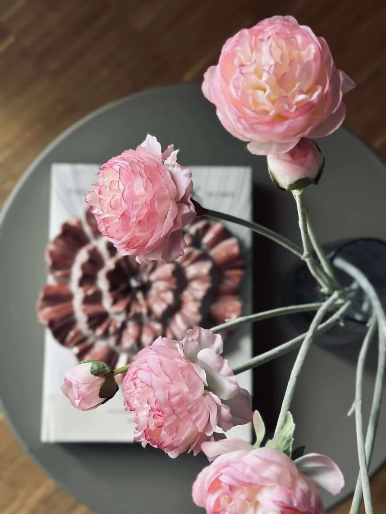Ranunkelstilk - Rosa