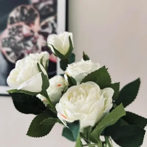 Rose 54cm – Hvit
