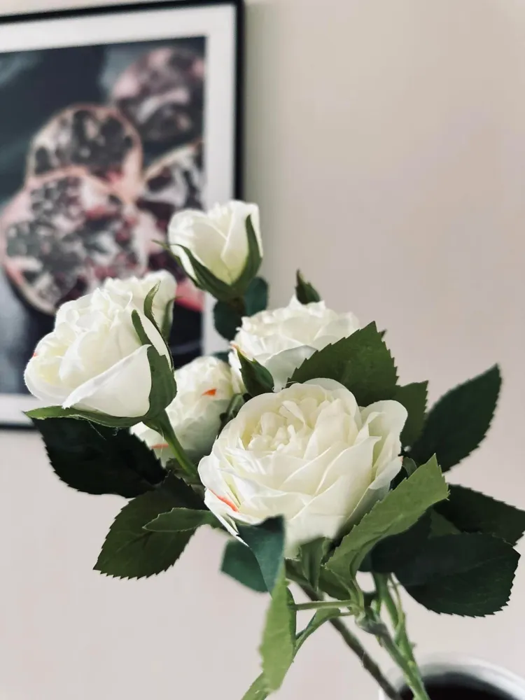 Rose 54cm – Hvit