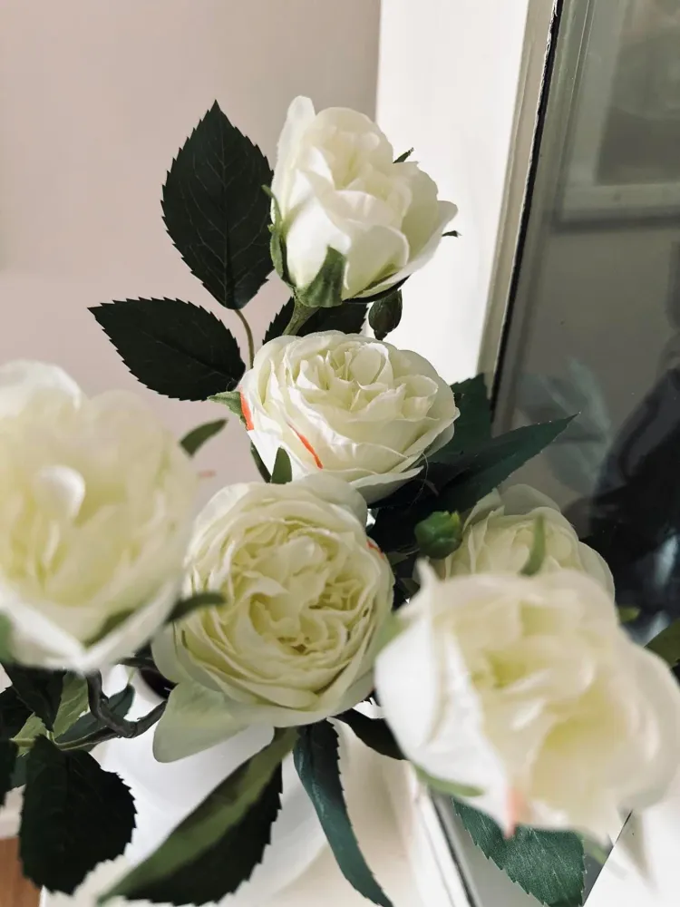 Rose 54cm – Hvit