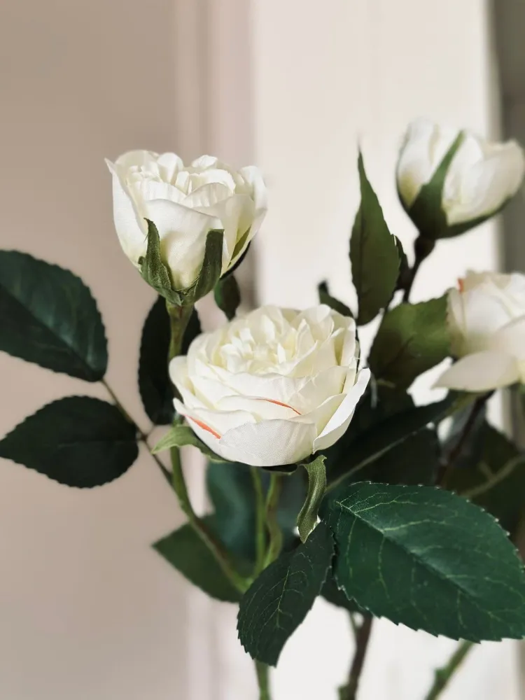 Rose 54cm – Hvit