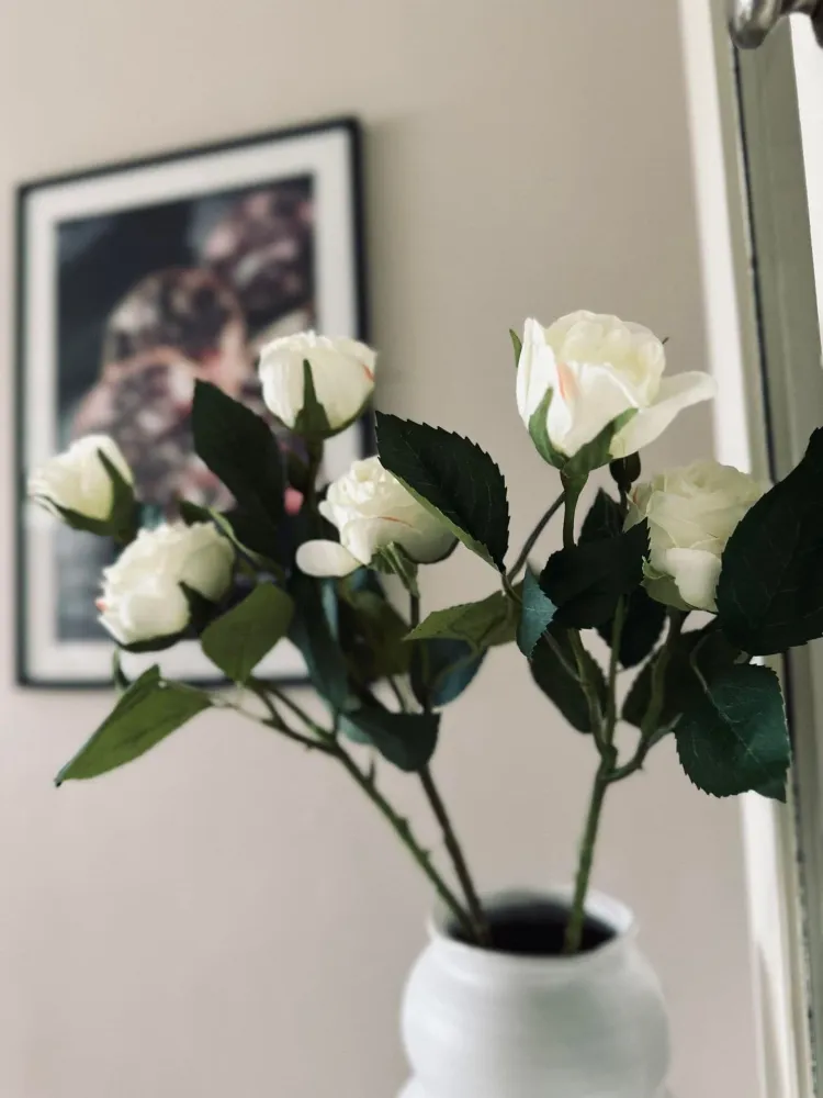 Rose 54cm – Hvit