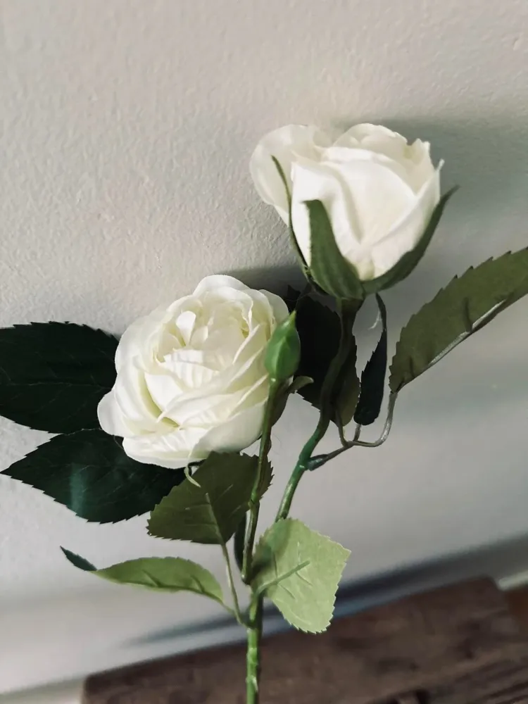 Rose 54cm – Hvit