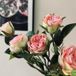 Rose 54cm – Rosa