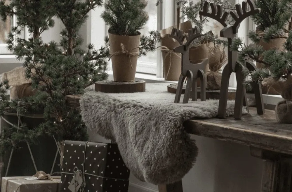 Rudolf – Liten