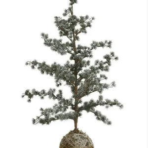 Sedertre/Mosekule 60cm