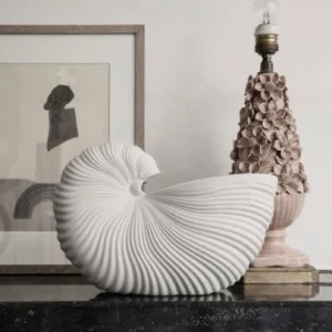 Shell Pot