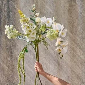 Stokrose-stilk