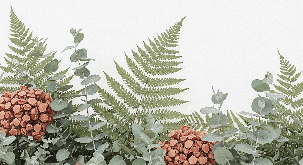 Tapet barnerom | Delikat løvverk med eukalyptus og bregner