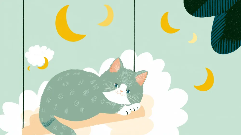 Tapet barnerom | Peaceful kitten on cloud golden moons
