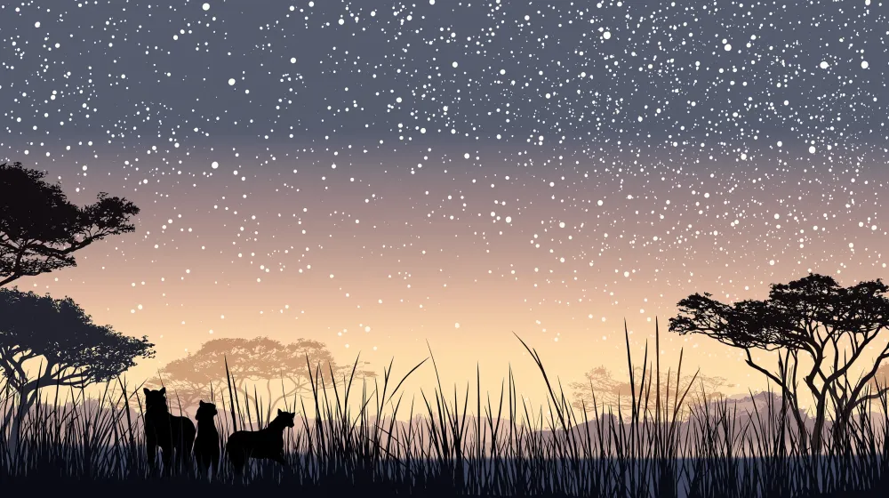 Tapet barnerom | Serengeti under en stjernehimmel