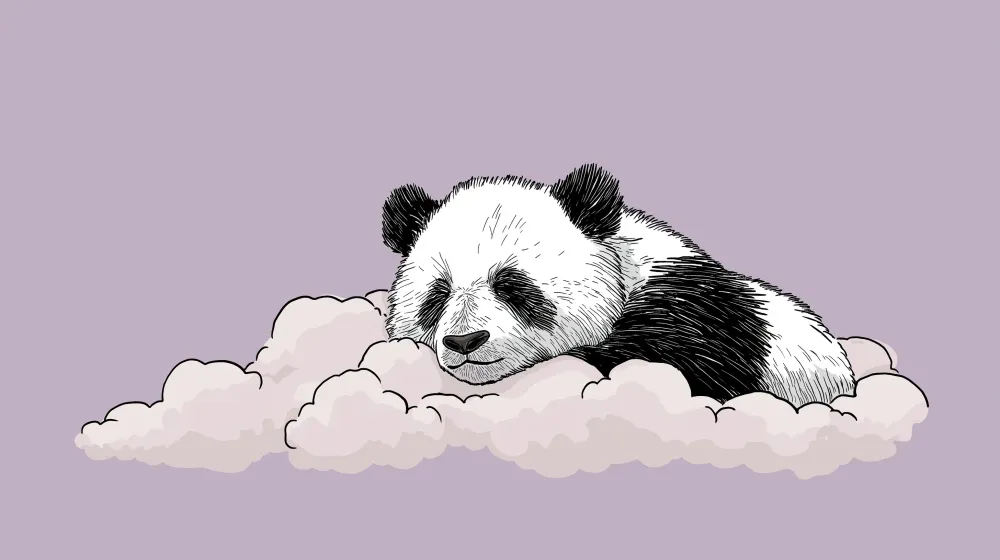 Tapet barnerom | Søvnig panda på en sky