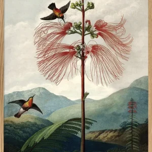 TREE FLOWER 70x100 Oak